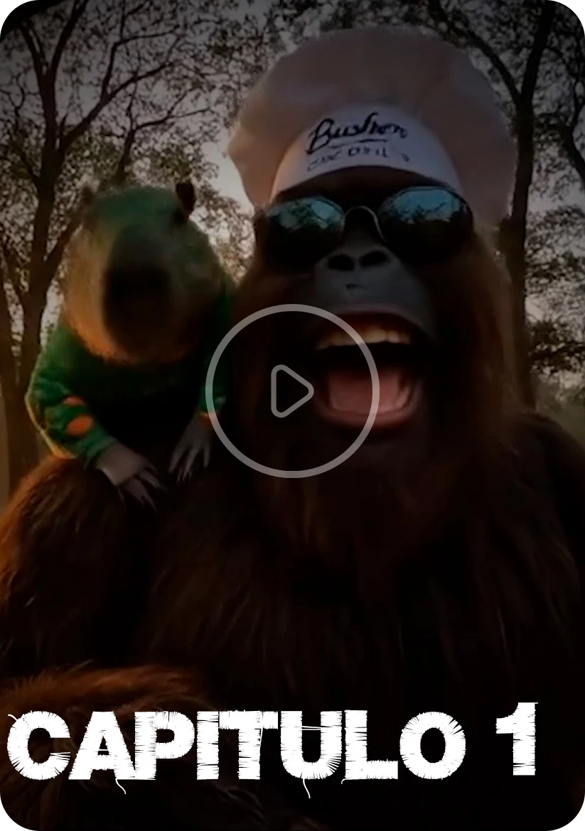 Receta Hongos Mágicos